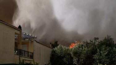 Πύρινος εφιάλτης σε Ηλεία, Έβρο και Λέσβο