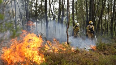 Στο έλεος των πυρκαγιών η Νότια Ευρώπη – Δεκάδες νεκροί από τον καύσωνα