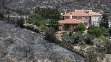 Μ. Μυλωνάς: Η εκμετάλλευση των δασών ιδανική λύση για τη μείωση των πυρκαγιών!