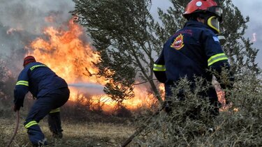 Φωτιά στο Σουφλί: Καίει αγροτοδασική έκταση στην περιοχή Λάβαρα