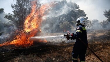 55 δασικές πυρκαγιές το τελευταίο 24ωρο