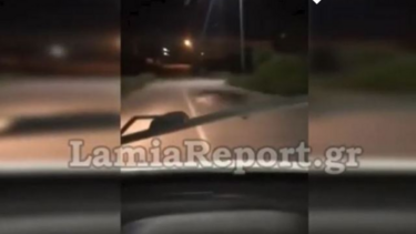 Είδε το αγριογούρουνο στο παράθυρο του αγροτικού του! 