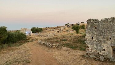 Καταγράφεται και προστατεύεται η σπάνια τοπική βιοποικιλότητα σε αρχαιολογικούς χώρους και στην Κρήτη