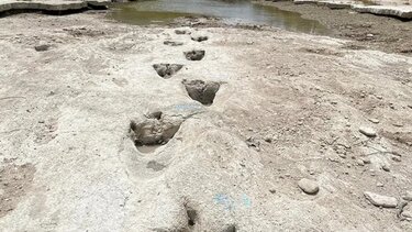 Η ξηρασία αποκάλυψε ίχνη δεινοσαύρων στην κοίτη ποταμού στο Τέξας