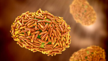 Ευλογιά των πιθήκων: Έναρξη εμβολιασμών στις πληγείσες περιοχές συστήνει ο ΠΟΥ