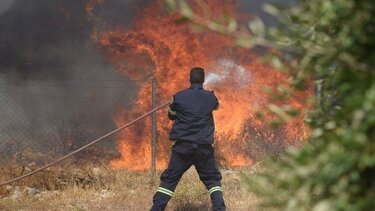 Υπό έλεγχο η φωτιά στον Πετσοφά Λέσβου