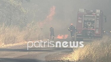 Πύργος: Μεγάλη φωτιά στη γέφυρα Αλφειού