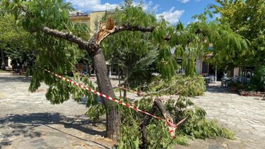 Καλαμάτα: Ζημιές στην πλατεία Όθωνος από ξαφνικό ανεμοστρόβιλο