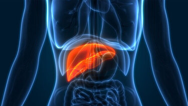 Ένα κοινό "παντοτινό χημικό" συνδέθηκε με καρκίνο στο συκώτι 