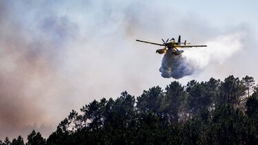 Πολύ υψηλός κίνδυνος πυρκαγιάς τη Δευτέρα - Δείτε σε ποιες περιοχές