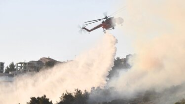 Πυροσβεστική: 34 δασικές πυρκαγιές το τελευταίο 24ωρο