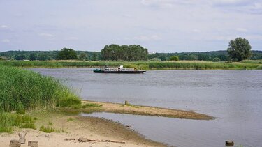 «Νεκρά ψάρια παντού»: φόβοι για περιβαλλοντική καταστροφή στον ποταμό Όντερ