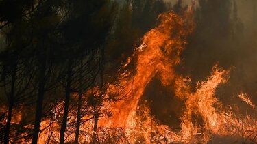 Υπό μερικό έλεγχο η φωτιά στην Καλή Συκιά