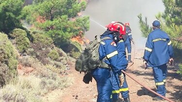 Φωτιά στο Δάσος της Κέρης σήμανε συναγερμό