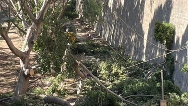 Τι γίνεται στο πάρκινγκ πίσω από το πάρκο;