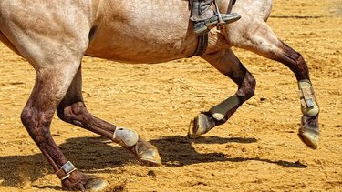 8οι Β’ διασυλλογικοί αγώνες ιππικής δεξιοτεχνίας στο Ρέθυμνο 