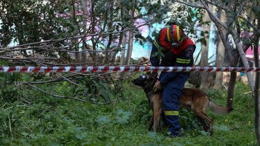 Τον αναζητούσαν επί 3 ημέρες, εμφανίστηκε τη νύχτα και… ζήτησε μια μπύρα!