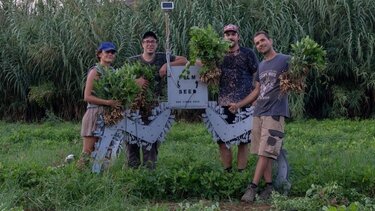 Film Seed Festival: Ένα οικολογικό κινηματογραφικό φεστιβάλ 