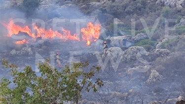 Φωτιά για 6η φορά φέτος στην Κέρη - Δείτε φωτογραφίες