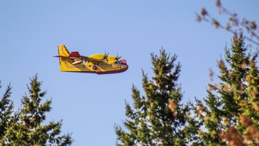 Αίτνα: Συνετρίβη Canadair – Αγνοούνται οι δύο πιλότοι