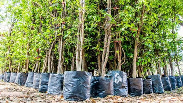 Κλιματική αλλαγή: Οι ΑΠΕ αντιμετωπίζονται θετικά, αλλά όχι κορυφαία προτεραιότητα