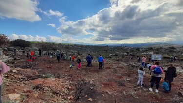 Μικροί μαθητές φύτεψαν δέντρα στα καμένα τους δάσους της Κέρης