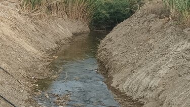 "Μας έταξαν καθαρισμό του ποταμού στο Γιόφυρο, αλλά δεν τον είδαμε"
