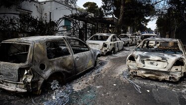  Μάτι: «Ήρθαμε διακοπές στην Ελλάδα - Πήρα σε μαύρους σάκους την οικογένεια μου»