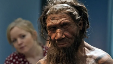 Το χρωμόσωμα Y εξαφανίζεται - Τι σημαίνει αυτό για τους άντρες; 