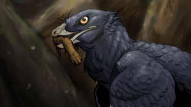 Ανακαλύφθηκε ο πρώτος δεινόσαυρος που έφαγε θηλαστικό