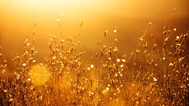 Νοέμβριος 2022: Σε υψηλά για την εποχή επίπεδα κυμάνθηκε η θερμοκρασία στα κεντρικά και βόρεια