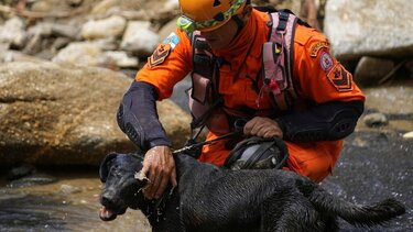 Βραζιλία: Κατολίσθηση έκοψε αυτοκινητόδρομο στα δύο - Νεκροί και δεκάδες αγνοούμενοι