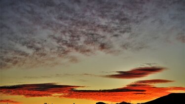 Ένα χρωματιστό “κοπάδι” της Ανατολής