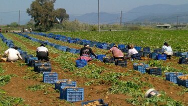 Εργατικά χέρια από την Αίγυπτο "και με τη βούλα" της Βουλής 