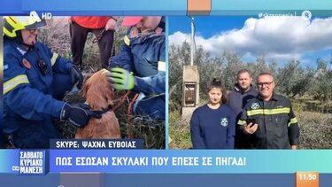 Πώς έσωσαν σκυλάκι που έπεσε σε πηγάδι