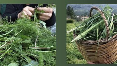 Βιωματική δράση για τα άγρια χόρτα της Κρήτης