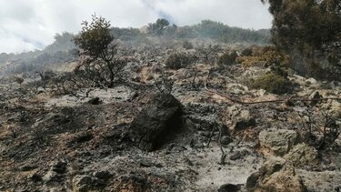 Έτρεχε και... δεν έφτανε η Πυροσβεστική στα Χανιά!