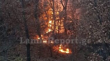  Πυρκαγιά σε δύσβατη δασική έκταση με δρύες και κέδρους στη Φθιώτιδα