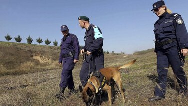 ΕΛ.ΑΣ: Έρευνα για εικονικά σύμφωνα συμβίωσης από νέους συνοριοφύλακες