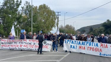 Ξεσηκώνονται οι κτηνοτρόφοι - Παγκρήτιο συλλαλητήριο την 1η Μαρτίου