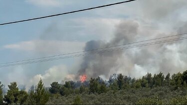 Αχαΐα: Σε εξέλιξη δύο φωτιές σε αγροτοδασικές εκτάσεις