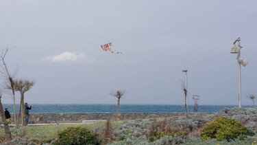 Με δυσκολίες το πέταγμα του χαρταετού στο Ηράκλειο - Κάποιοι τα κατάφεραν