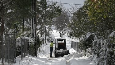 "Ολικό παγετό" κατέγραψαν οι 49 μετεωρολογικοί σταθμοί του Αστεροσκοπείου