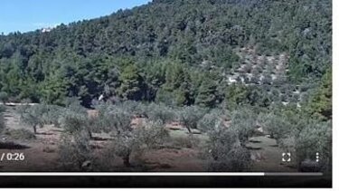 Μπήκαν κάμερες πυρανίχνευσης στα δάση της Αλοννήσου