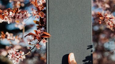 Γιορτάζει την Παγκόσμια Μέρα Παιδικού Βιβλίου ο Δήμος Πλατανιά