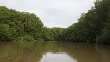 Κόστα Ρίκα: Κατάσταση έκτακτης ανάγκης στον βορρά εξαιτίας μόλυνσης του νερού