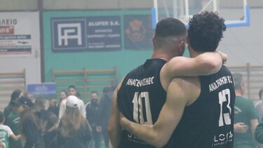 Ομάδα - οικογένεια: Το case study της Αναγέννησης