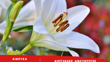 Πασχαλινή εθελοντική αιμοδοσία στην Αλικαρνασσό