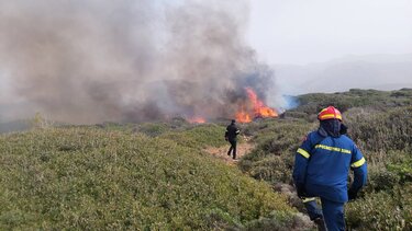 Χιλιάδες πυροσβέστες και δασοκομάντος στη μάχη με τις φλόγες