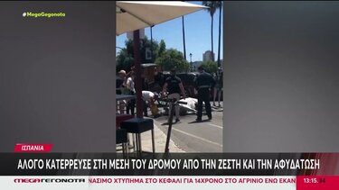 Ισπανία: Καταρρέουν άλογα και μεταφέρονται ψάρια λόγω ζέστης!